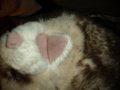 DSCF2808.JPG